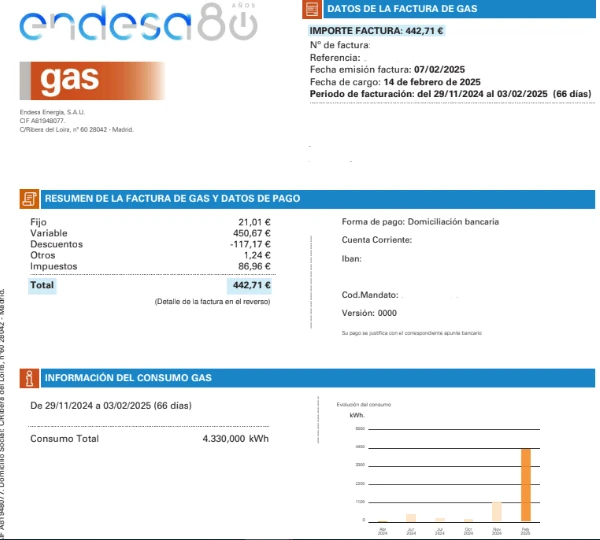 Información del consumo de gas en una factura de Endesa