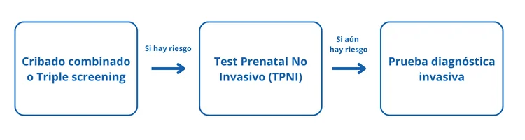 Test prenatal no invasivo