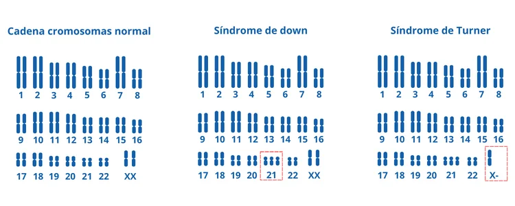 Resultados Test prenatal no invasivo