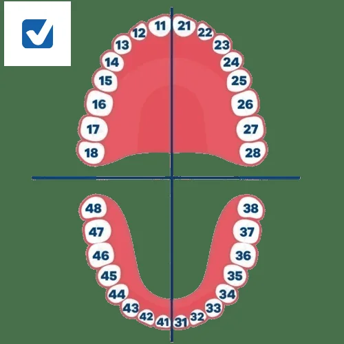 Precio del curetaje dental por cuadrante